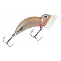 R33