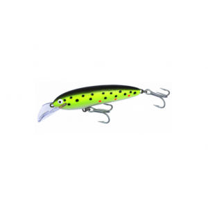 Nils Master Jumbo DD